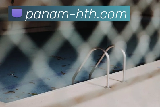 App Interface Preview